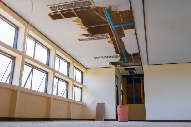 Best Water damage cleanup near me  in Ceredo, WV