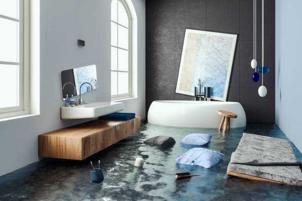 Best Flood restoration services  in Ceredo, WV