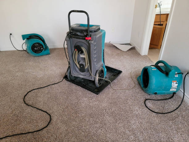 Best Commercial water damage restoration  in Ceredo, WV