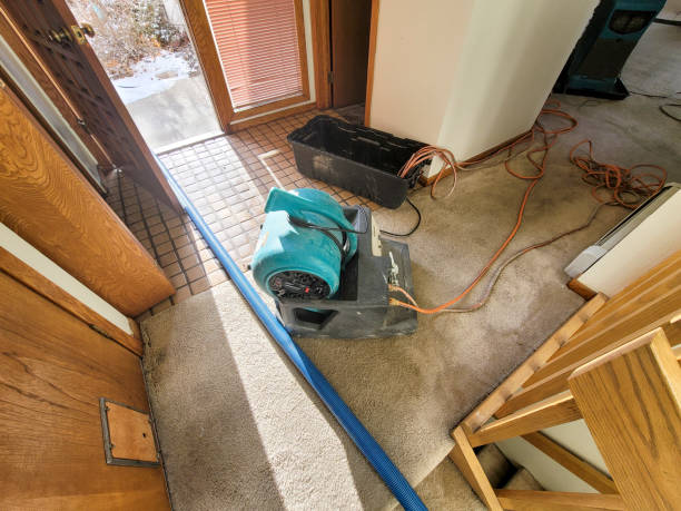 Best Water damage restoration insurance claims  in Ceredo, WV