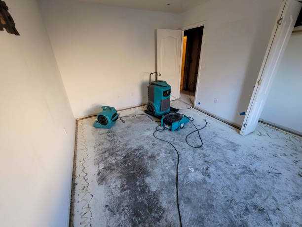 Best Ceiling water damage repair  in Ceredo, WV