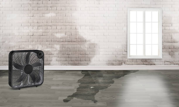 Best 24-hour water damage restoration  in Ceredo, WV