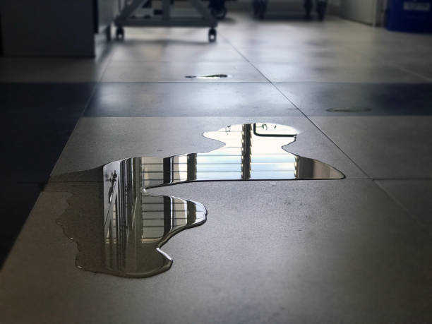 Best 24/7 water damage repair  in Ceredo, WV