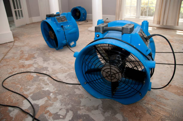 Best Emergency water damage restoration  in Ceredo, WV