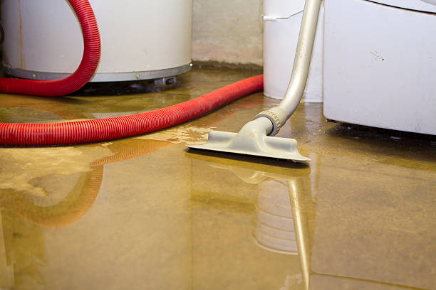 Professional Water damage restoration in Ceredo, WV