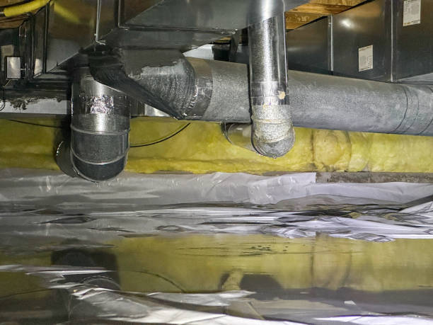 Best Carpet water damage restoration  in Ceredo, WV