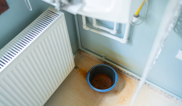 Water damage restoration mold remediation in Ceredo, WV