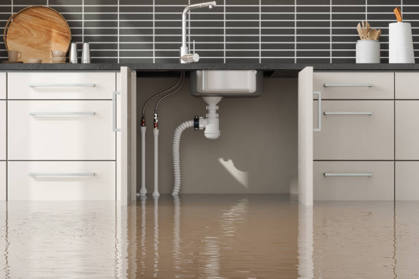 Water damage restoration experts in Ceredo, WV