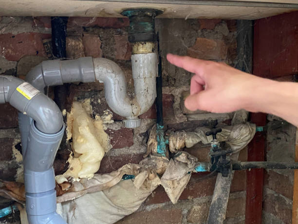 Best Water damage mitigation services  in Ceredo, WV