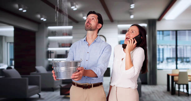Best Water damage restoration mold remediation  in Ceredo, WV