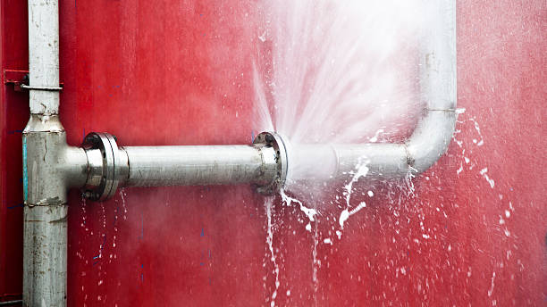 Best Flood damage cleanup  in Ceredo, WV